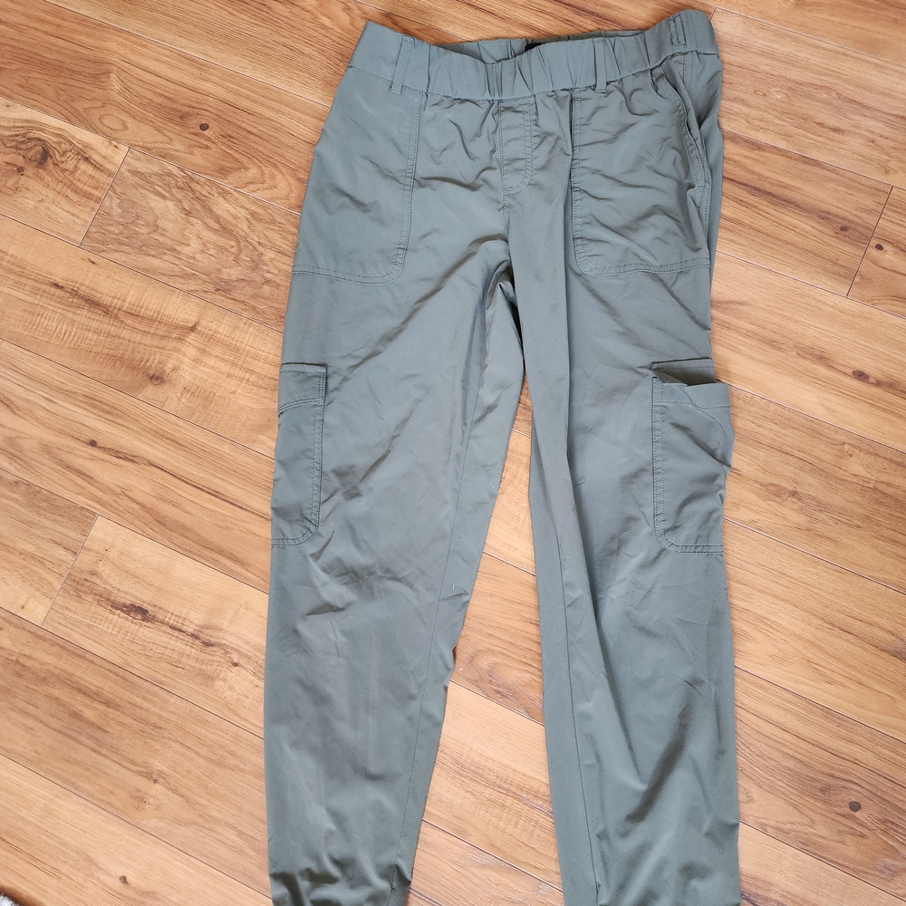Banana Republic Sage Cargo Pants